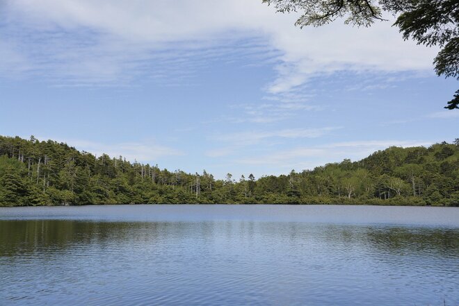 【この秋、絶対！ 八ヶ岳】第6回「白駒池」 北八ヶ岳らしい苔むした森を歩くの画像003