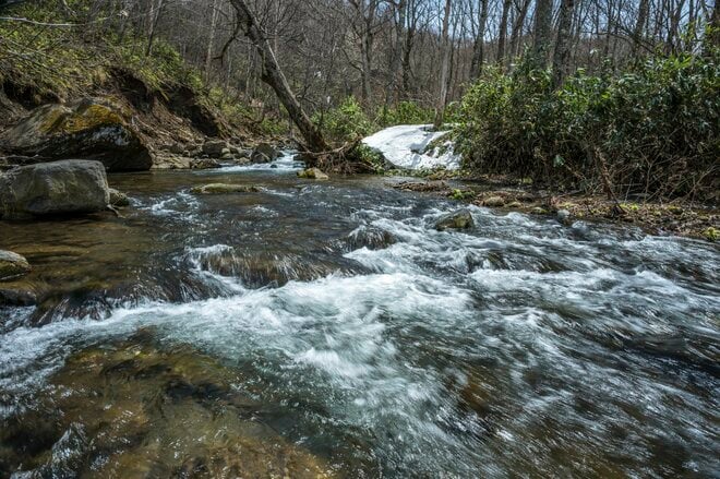 「放流なし、天然イワナだけの渓流」遊漁券たったの550円！  長野県でも遅い解禁を迎えた雑魚川で “フライフィッシング” 【志賀高原漁協】 長野県｜2026年の画像004