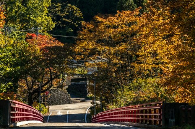 【松川渓谷】紅葉に彩られた赤い橋 “高井橋” から見る絶景！ 信州高山温泉郷・上信越国立公園 2022年の画像002