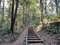 「2時間で縦走できる」埼玉の低山・天覧山～多峯主山ルートで見る「絶景」2連発の画像002