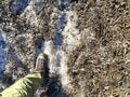 富士山との距離約12kmの近さ！  スケール感に圧倒される愛鷹連峰「越前岳」からの絶景！  山頂の向こうには「駿河湾」の大パノラマ「2月・登山レポ」の画像004