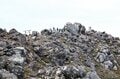 いつかは泊まりたい！「那須岳」登山者憧れの“極上の湯”に恵まれた別天地「三斗小屋温泉」【栃木県那須塩原市】の画像002