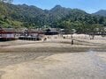 【島旅・シー・トゥ・サミット】「宮島・弥山の登山ルート」広島で青もみじの山＋海の幸＋観光＝「大人の修学旅行！」 2022年・広島県・厳島の画像024