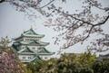 名古屋駅からアクセス良好「桜の名所3選」3月20日ごろから一斉スタート “桜まつり” で春満喫！  愛知県在住ライター厳選のスポット、電車で10分以内の場所も！の画像001