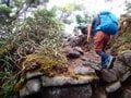尾瀬の穴場「田代山湿原」可憐なオサバグサに会える天空のトレイルをいく！ 2022年／福島県・栃木県の画像003