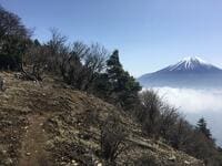 雲海と富士山の絶景！  急登の日本二百名山「毛無山」の「山頂」の先へ登る理由「展望登山レポ」