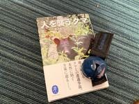「冬眠前のクマ」遭遇を避けるために「熊鈴」以上に必要なものとは！？  知床での「ガイドツアー体験」と参考書籍から考察