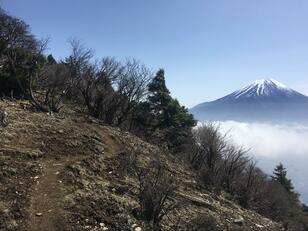 雲海と富士山の絶景！  急登の日本二百名山「毛無山」の「山頂」の先へ登る理由「展望登山レポ」