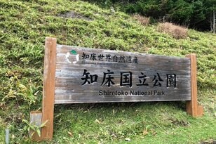 一度は行きたい！  自然の宝庫「知床」 リピート訪問ライターのおすすめ「キャンプ＆温泉」スポット！  気になる「ヒグマ遭遇」体験と対策も「レポート」