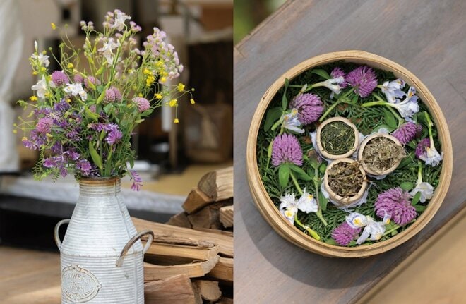 「理想のサウナ郷、ついに待望のオープン目前」 プレオープン期間の1年を振り返る＜春・夏編＞【ユーコンカワイのシン・サウナ村建設記 vol.12】の画像006