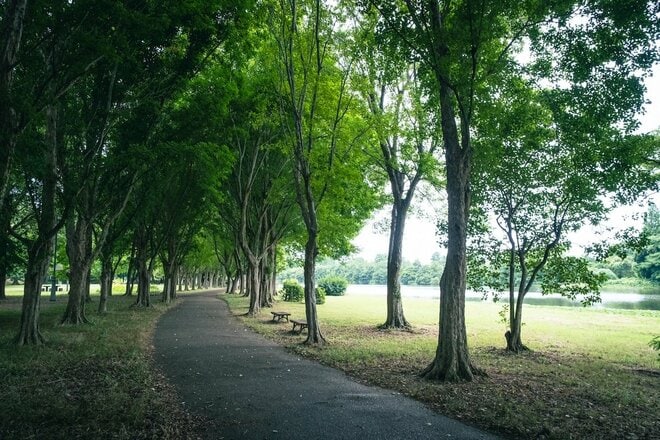 たった10kmの自転車周遊「ミズイチ」ってなに？  23区随一の水郷公園なら30分でもかなりエピック【ゆる6輪の旅 vol.01 水元公園】の画像013