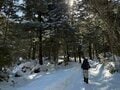 一度は行きたい「秘境」の絶景温泉！  日本最高所・標高2,150mの「野天風呂」八ヶ岳「本沢温泉」スノートレッキングの画像002