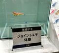 これぞ “なにわ流！”  フィッシングショー大阪2024はベテランアングラーから初心者・ファミリーまで誰もが楽しめる「釣りの祭典」【編集部リポート】の画像025