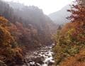 見ごろ10月下旬から！  紅葉の奥秩父「三峯神社」＆「大血川渓谷」現地レポ！  関東最大級パワースポットと渓谷美の絶景 “秋真っ盛り” 散策の画像001