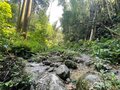 ＜残暑にオススメな“低山の早朝ハイキング”コースPart2＞“涼めるポイント”も豊富な「サクっとモーニングトレイル」私市（きさいち）編【里山アドベンチャー！ソトアソ日和 vol.6】の画像014