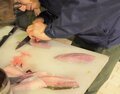 「海釣り初心者」でもこんなに釣れた！  熱海でタイ、カツオ、サバが大漁！  お味も美味しすぎ「正直感動レポート」の画像013