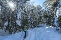 「飛騨・位山」 気持ちいい頂で深呼吸、山で汲んだ美味しい水でコーヒーを一杯いただく登山レポート【2025年 岐阜県】の画像004