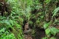 シンボリックな形が魅力の「開聞岳」 岬から、風呂から、山頂から「見て＆登って」1泊2日で満喫！  絶景レポート【鹿児島県指宿市】の画像005