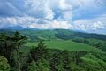片道１時間で「超絶景」暑さを忘れる「霧ヶ峰」のお手軽空中散歩＜鷲ヶ峰＆八島ヶ原湿原編＞【今日も山旅気分 vol.7】の画像006
