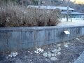 冬に開く“氷の花”！ 「霜柱」ではない「シモバシラ」を探しに初冬の高尾山へ【最後の最後に出会えた氷の芸術品“氷華”】東京都・2023年の画像002