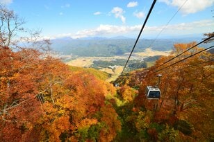 紅葉シーズン最盛期間近！「白馬五竜高山植物園」 一足早い秋の高原を彩る国内外の“高山植物の競演”に酔う