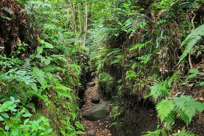 シンボリックな形が魅力の「開聞岳」 岬から、風呂から、山頂から「見て＆登って」1泊2日で満喫！  絶景レポート【鹿児島県指宿市】の画像005