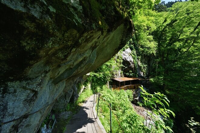 『黒部峡谷トロッコ電車』で新緑のトンネルを潜り抜ける快感は「この時期だけ」の特別空間【富山県黒部市】の画像010