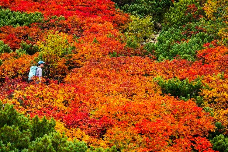 甲斐駒ヶ岳＆仙丈ヶ岳【紅葉】