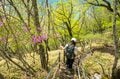 【百名山】新緑と各種ツツジが見頃の “赤城山” で周回縦走！ 「印象に残ったのは立派なカラス」 群馬県｜2026年の画像014