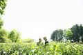 「八十八夜」まであと10日！「今年最初のお茶」という新鮮味を感じる日本の素敵な文化。それはワインのボジョレーヌーボーの解禁に似ている？【フランス人茶商の茶国漫遊記 vol.03「新茶の息吹に誘われて〜狭山茶」埼玉県日高市】の画像006