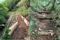 【首都圏近郊】箱根の最高峰・神山と駒ヶ岳間のハイキングコースが10年ぶりに再開通＜神奈川県・箱根町＞の画像002
