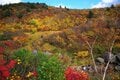 いったい誰がそう呼んだ？  栗駒山の「神の絨毯」はみちのく最強の紅葉ワールド！＜後編・宮城県 栗駒山＞【今日も山旅気分 vol.10】の画像004