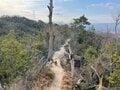 室町時代の謂れが残る大阪近郊日帰りハイキングルート「星田古道」裏山新緑トレイルの魅力【里山アドベンチャー！ソトアソ日和 vol.10】の画像009