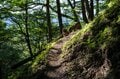＜登山前に知っておきたい＞2022年8月「奥多摩エリア登山道状況」「注意点」「見どころ」最新インフォメーションの画像001