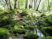 【主稜線南端の山】 今年新たに誕生した「日高山脈襟裳十勝国立公園」  沢を詰め、急登のすえに辿り着く楽古岳！  2024年・北海道