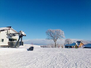 「スキー場のランチは高くてまずい」は昔の話！「わざわざ足を運ぶ価値あり」の「至高のゲレ食」おすすめ4選