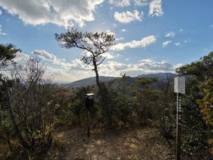 「めっちゃ期待感を煽ってくるウワサの岩山」六甲連山の行者山東観峰からの「絶景」とは？