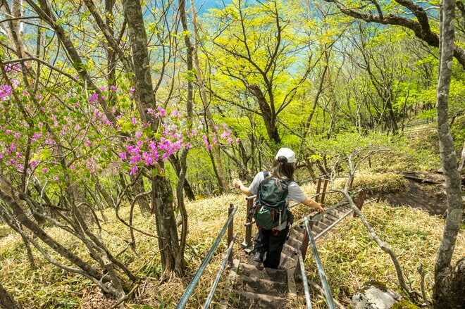 【百名山】新緑と各種ツツジが見頃の “赤城山” で周回縦走！ 「印象に残ったのは立派なカラス」 群馬県｜2026年の画像014