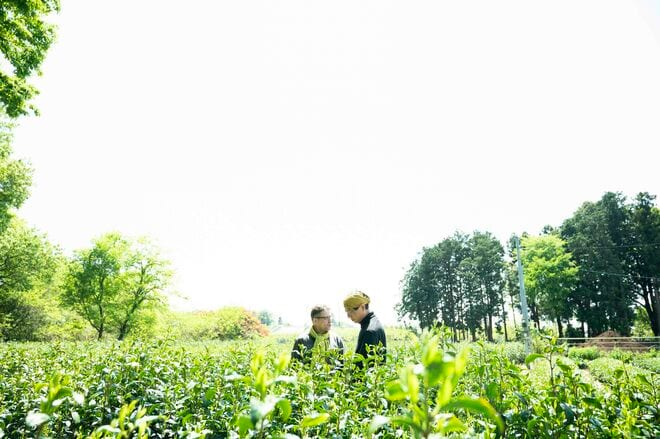 「八十八夜」まであと10日！「今年最初のお茶」という新鮮味を感じる日本の素敵な文化。それはワインのボジョレーヌーボーの解禁に似ている？【フランス人茶商の茶国漫遊記 vol.03「新茶の息吹に誘われて〜狭山茶」埼玉県日高市】の画像006