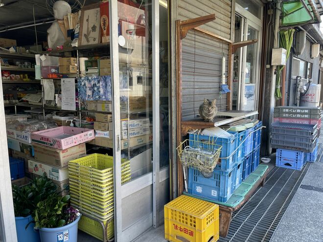 アート、ときどき島猫。直島・犬島・小豆島【「瀬戸内トリエンニャーレな旅（後編）」琉球島猫百景 vol.22〈特別編〉】の画像018
