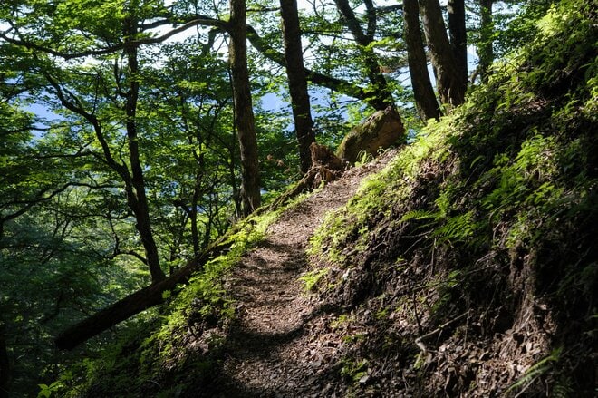 ＜登山前に知っておきたい＞2022年8月「奥多摩エリア登山道状況」「注意点」「見どころ」最新インフォメーションの画像001