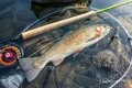 【2021年秋】犀川セカンドシーズン突入直前！「通年釣り可能」殖産エリア本流で「モンスター級」大型トラウトを狙え！の画像003