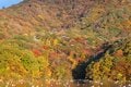 錦秋の山にコハクチョウが舞う特別なロケーション！  秋と冬の接点を楽しむ【山形県】2026年の画像001