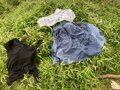 登山「意味が分かると怖い写真」初夏は爽やかでも…「天候・ウェア・アクセス」見極め困難！ 山での「計算ちがい＆見当ハズれ」頻発トラブル「実体験レポ」の画像002