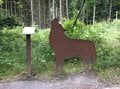 かつての軍事演習場が半世紀で”希少動物たちの住む森”に。五感と知を刺激するバリアフリートレイル「ドイツ・アイフェル国立公園」＜後編＞【キジ博士のナチュラリスト入門 vol.4】の画像006