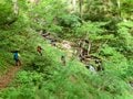 【親子旅】新潟と長野をつなぐ「塩の道」美しいブナ林で時の流れを感じたの画像012