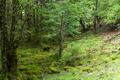 テント泊デビューにも最適！  八ヶ岳「硫黄岳」 登山口からテント場まで約1時間半＆山頂は圧巻の絶景！「登山レポ」の画像002