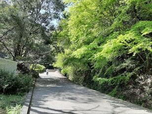 「船を見る登山」とは？　大歓声に包まれる佐伯市・濃霞山「5月18日公開」の「進水式」を望む唯一無二の絶景！