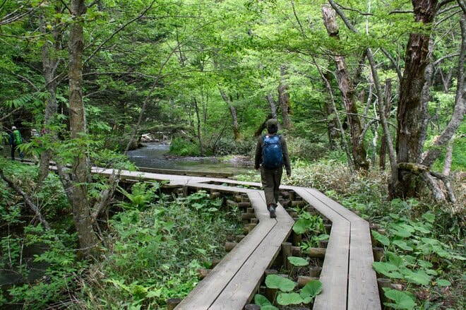 やっぱり “上高地” は泊まりの旅がいい！  明神・徳沢をめぐる『上高地さんぽ』  足を延ばしたからこそ味わえる「絶品グルメ＆優雅な山小屋時間」の画像010