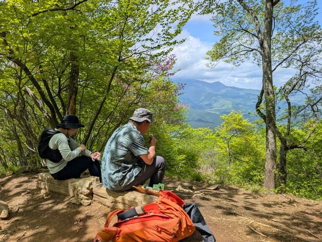 【電車で行ける】ヤマツツジの名所「日光・鳴虫山」へ　日帰りハイキング最新レポート＜2026年5月中旬＞の画像008